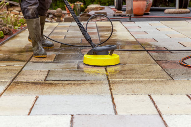 Best Animal Enclosure Cleaning  in Cave Springs, AR